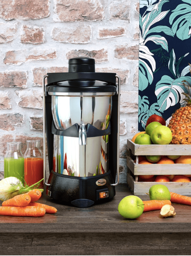 extracteur de jus professionnel 